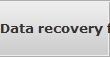 Data recovery for Ft Belvoir data