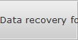 Data recovery for Ft Belvoir data